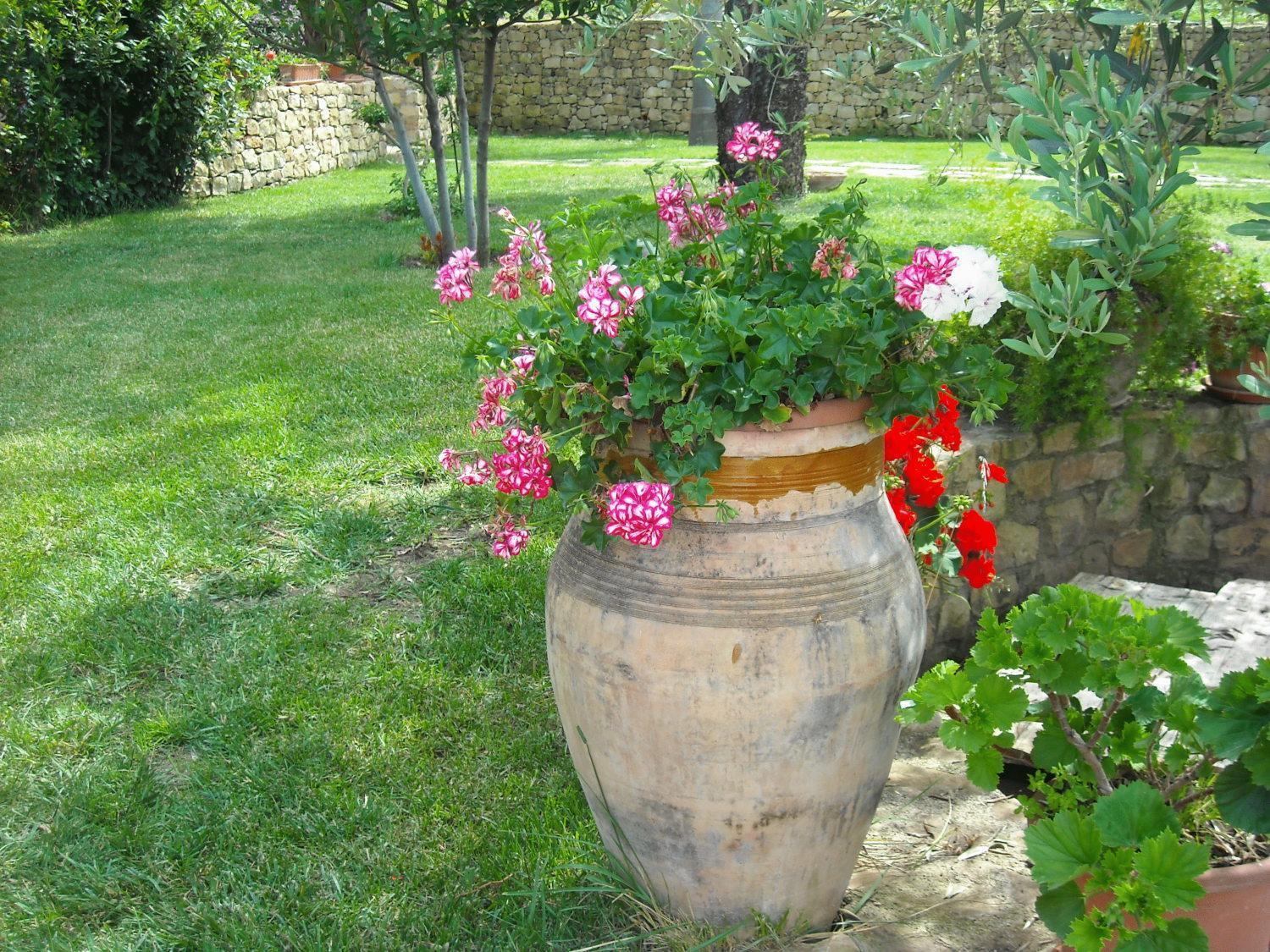 Agriturismo Villa Luca Sant'Agata di Militello Exterior foto
